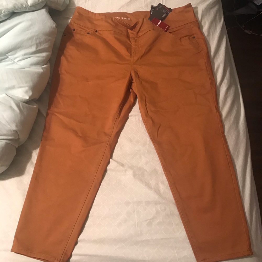 Avenue skinny work pants